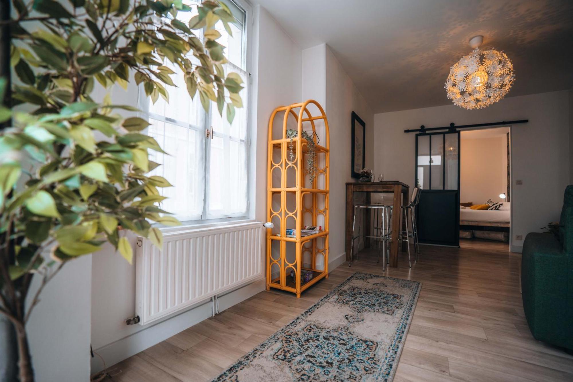 Les Petits Roys - Proche Centre Ville - Cosy Châteauroux Εξωτερικό φωτογραφία